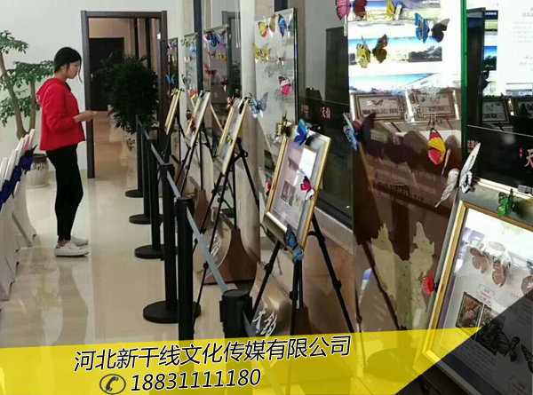 蝴蝶展