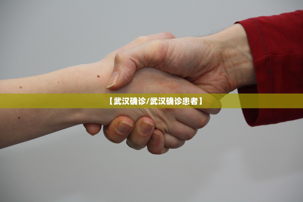 【武汉确诊/武汉确诊患者】