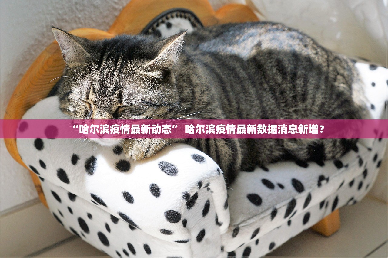 “哈尔滨疫情最新动态” 哈尔滨疫情最新数据消息新增？