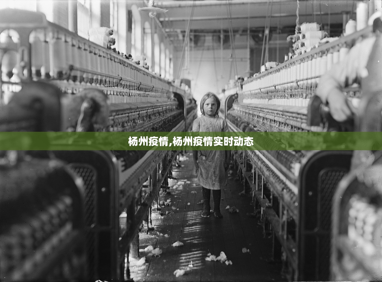 杨州疫情,杨州疫情实时动态 杨州疫情,杨州疫情实时动态