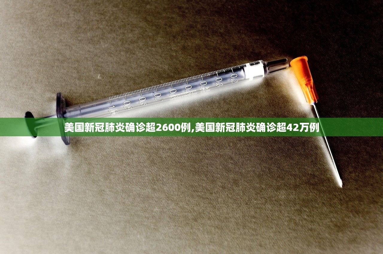美国新冠肺炎确诊超2600例,美国新冠肺炎确诊超42万例 美国新冠肺炎确诊超2600例,美国新冠肺炎确诊超42万例
