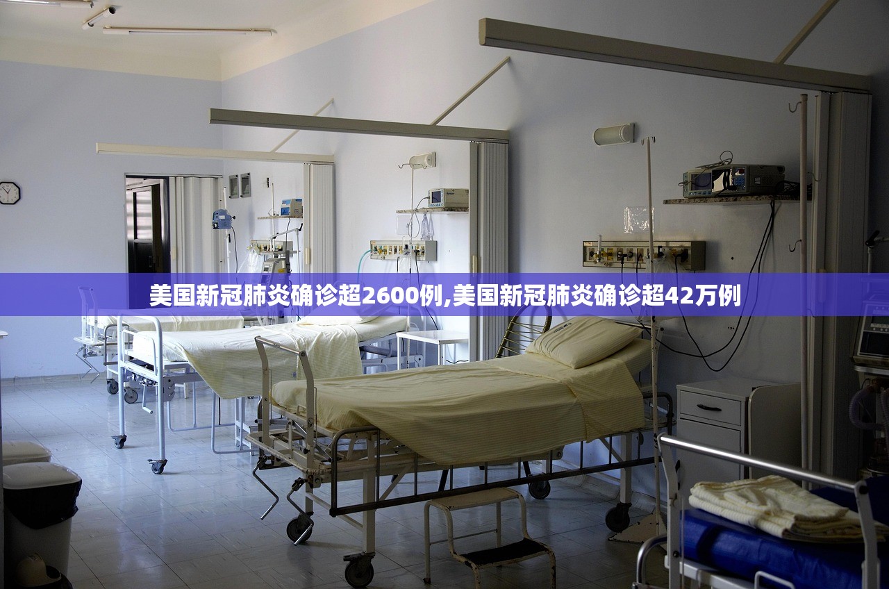 美国新冠肺炎确诊超2600例,美国新冠肺炎确诊超42万例 美国新冠肺炎确诊超2600例,美国新冠肺炎确诊超42万例