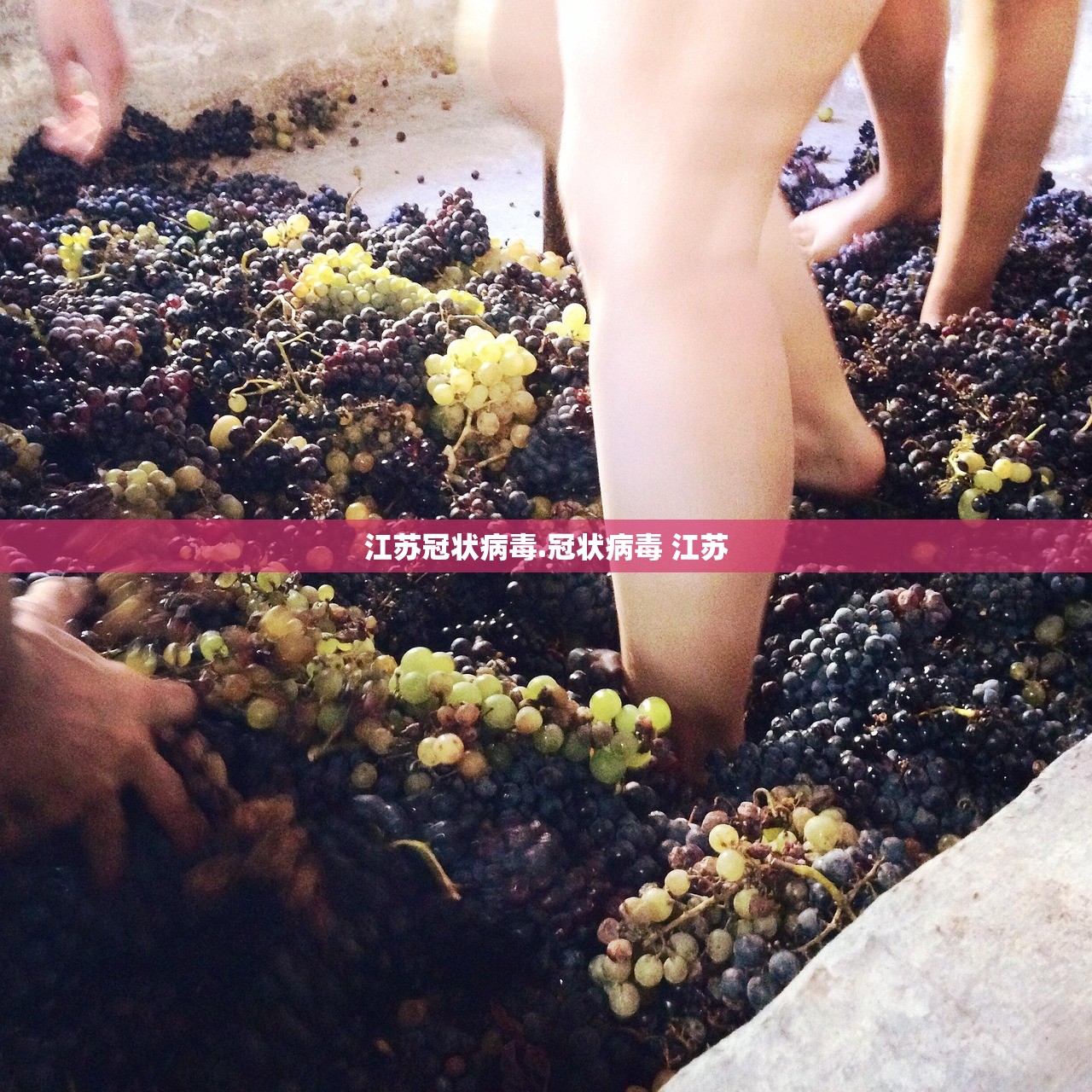 江苏冠状病毒.冠状病毒 江苏