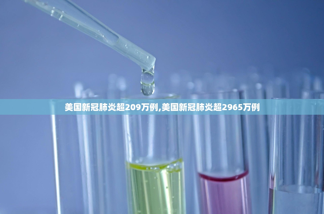 美国新冠肺炎超209万例,美国新冠肺炎超2965万例 美国新冠肺炎超209万例,美国新冠肺炎超2965万例
