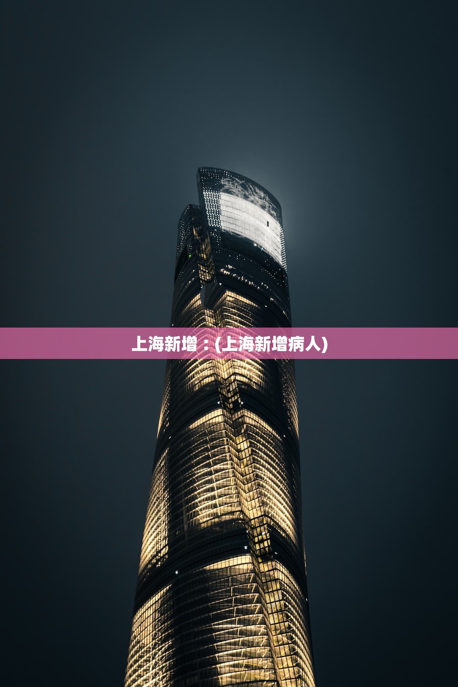 上海新增︰(上海新增病人) 上海新增︰(上海新增病人)