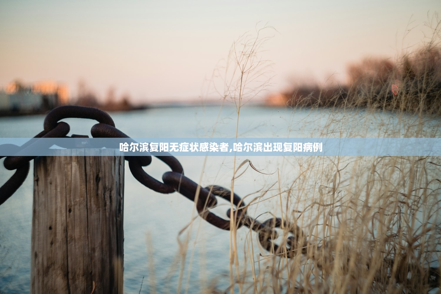 哈尔滨复阳无症状感染者,哈尔滨出现复阳病例 哈尔滨复阳无症状感染者,哈尔滨出现复阳病例