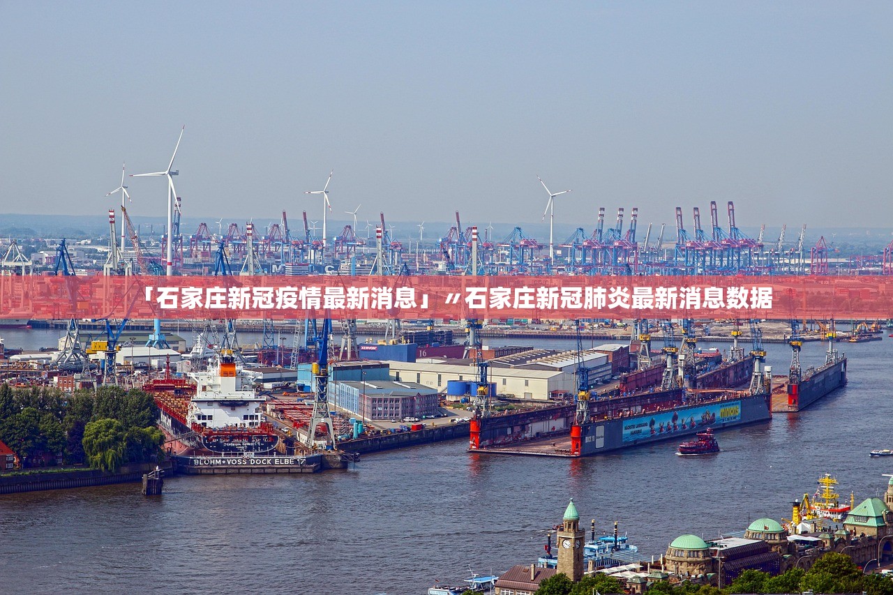 「石家庄新冠疫情最新消息」〃石家庄新冠肺炎最新消息数据