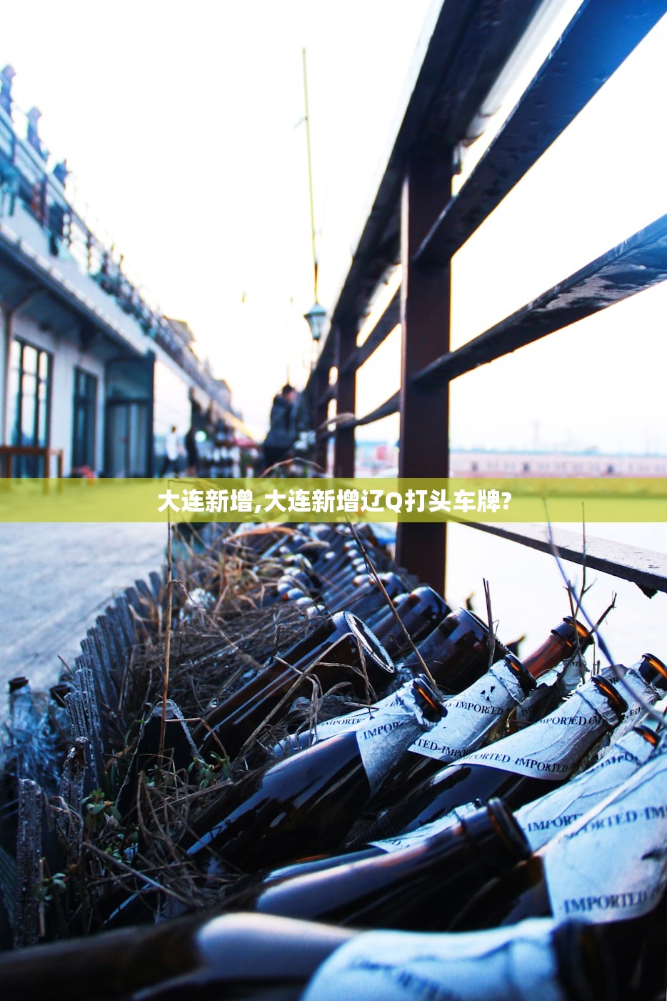 大连新增,大连新增辽Q打头车牌?