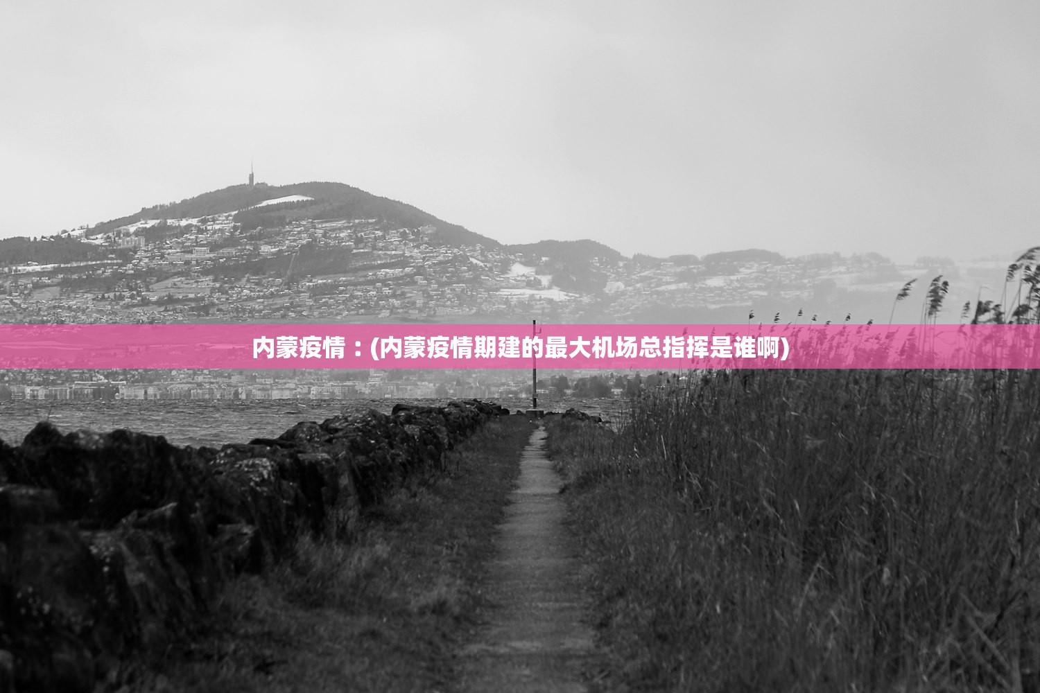 内蒙疫情︰(内蒙疫情期建的最大机场总指挥是谁啊) 内蒙疫情︰(内蒙疫情期建的最大机场总指挥是谁啊)