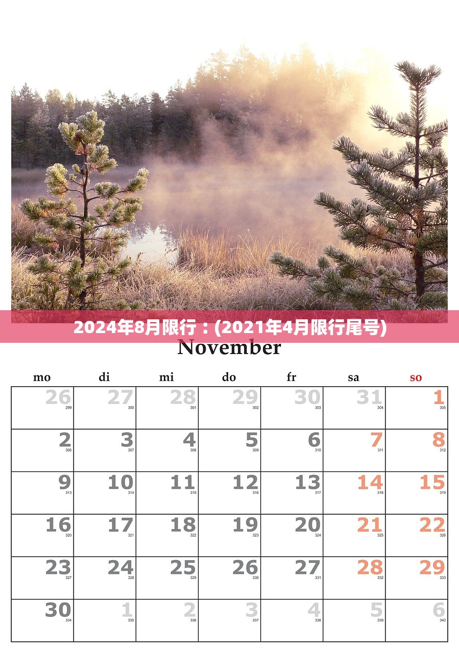 2024年8月限行︰(2021年4月限行尾号)
