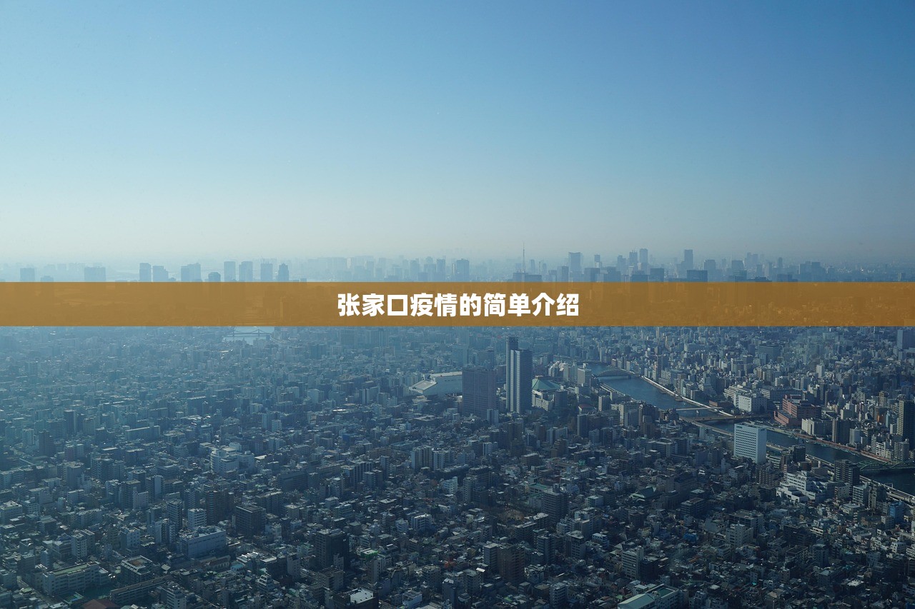 张家口疫情的简单介绍