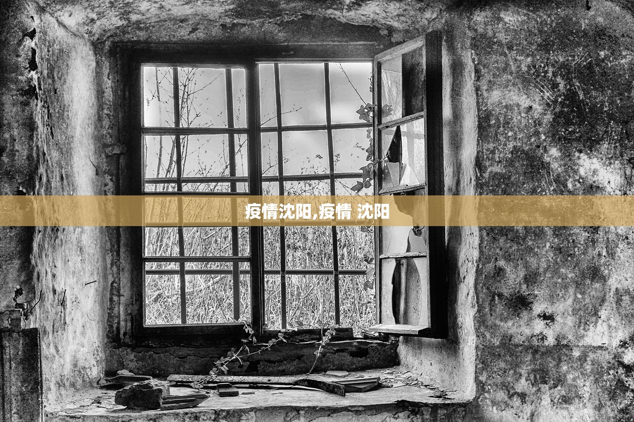 疫情沈阳,疫情 沈阳