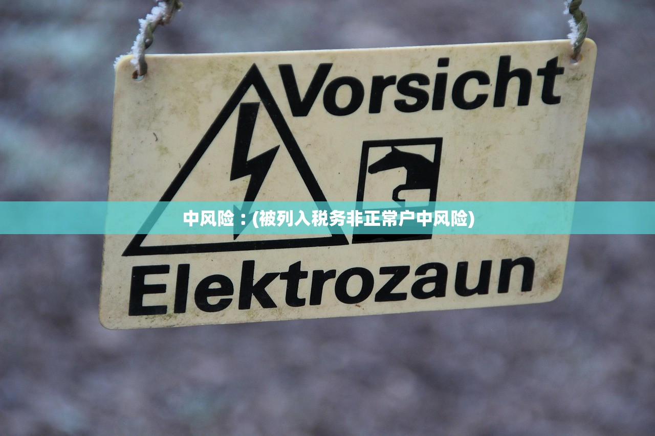 中风险︰(被列入税务非正常户中风险)