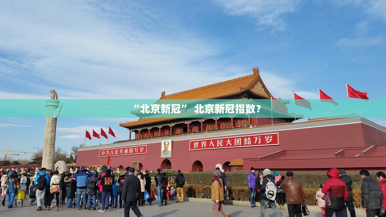 “北京新冠” 北京新冠指数？