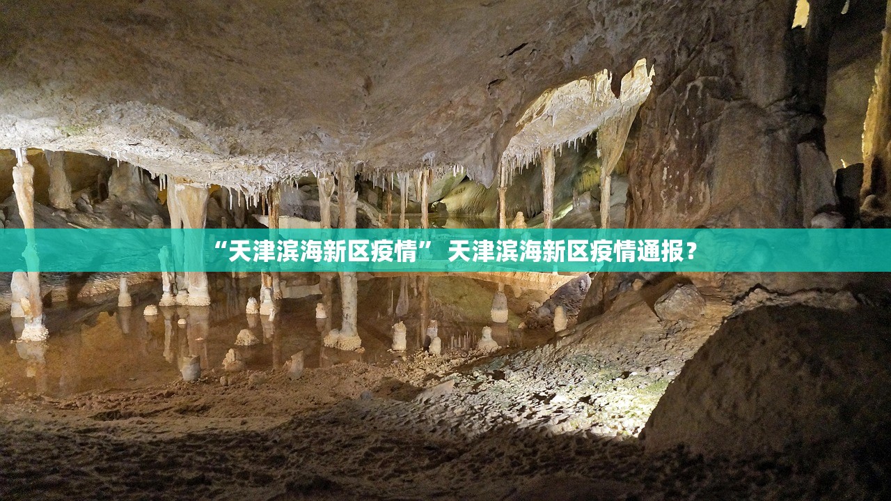“天津滨海新区疫情” 天津滨海新区疫情通报？