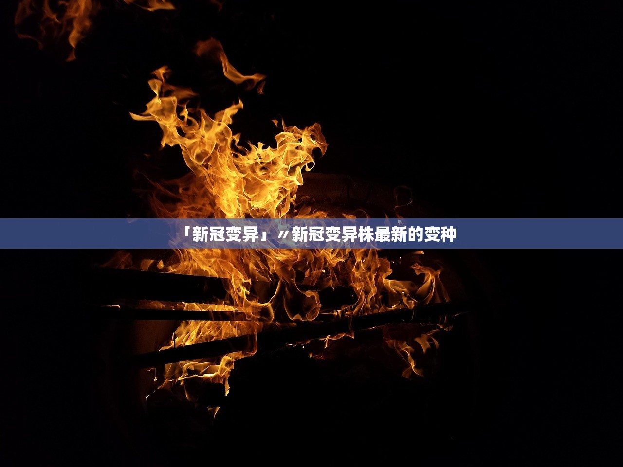 「新冠变异」〃新冠变异株最新的变种