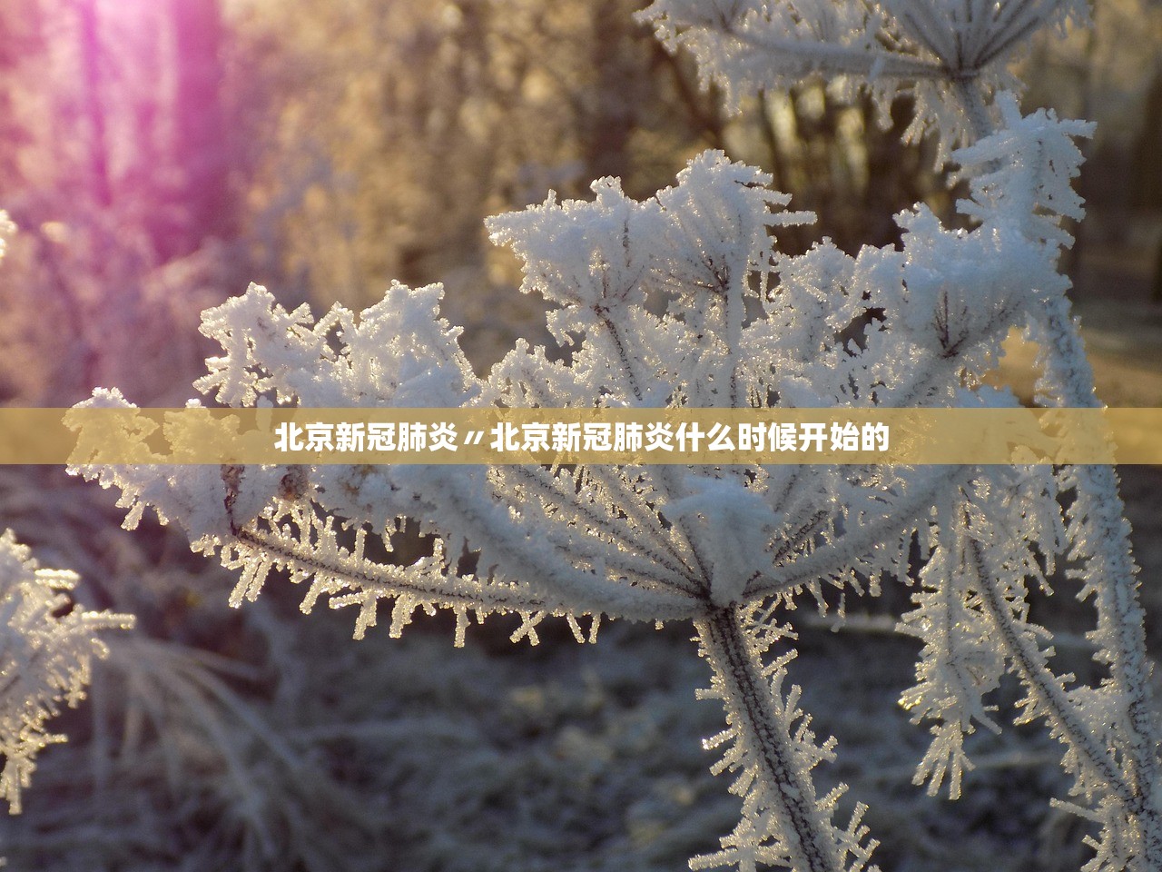 北京新冠肺炎〃北京新冠肺炎什么时候开始的