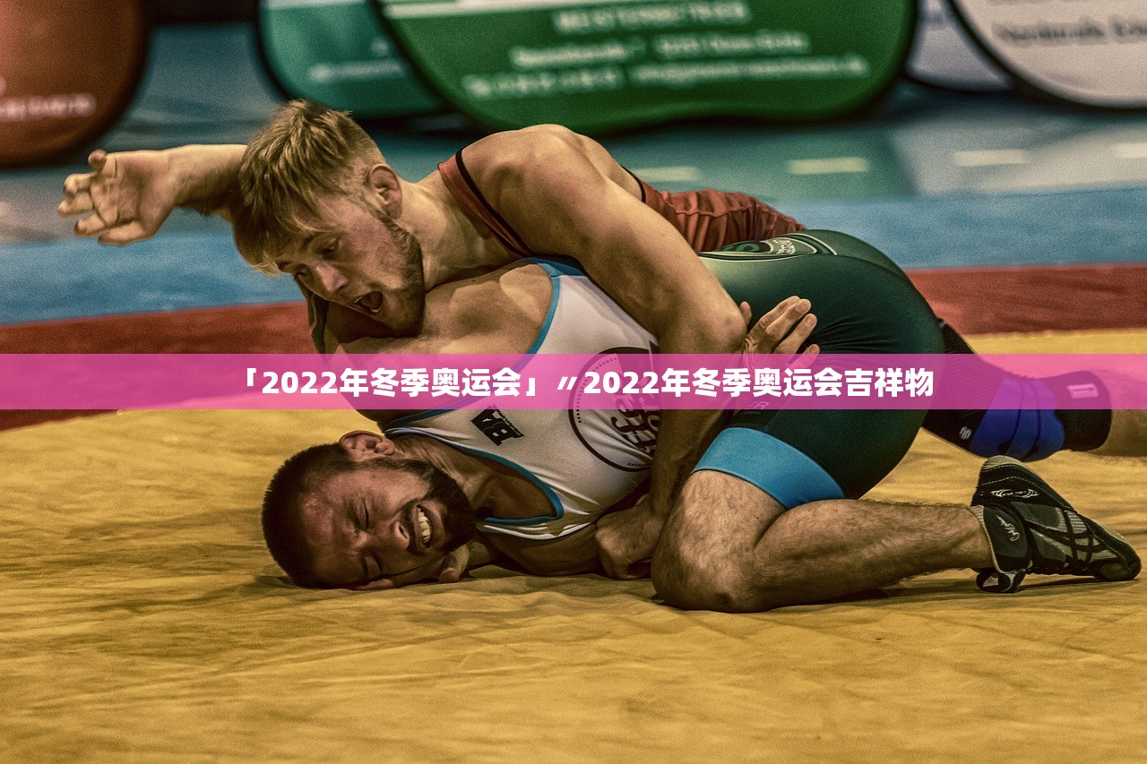 「2022年冬季奥运会」〃2022年冬季奥运会吉祥物