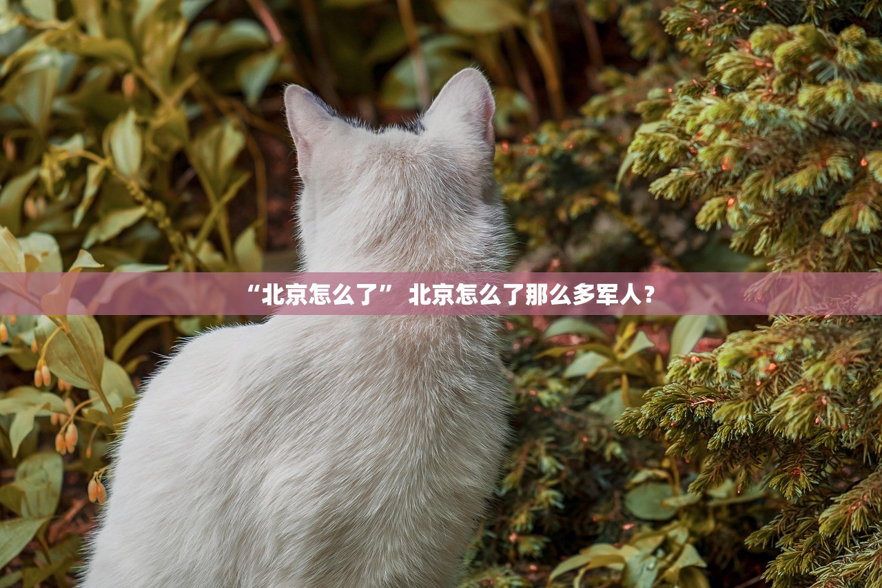 宁波确诊病例轨迹让人心疼︰(宁波确诊病例最新) 宁波确诊病例轨迹让人心疼︰(宁波确诊病例最新)