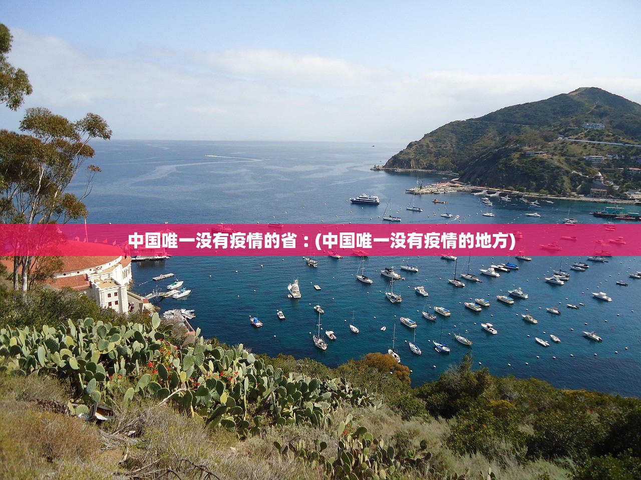浙江新增新冠肺炎确诊病例50例〃浙江新增确诊病例轨迹 浙江新增新冠肺炎确诊病例50例〃浙江新增确诊病例轨迹
