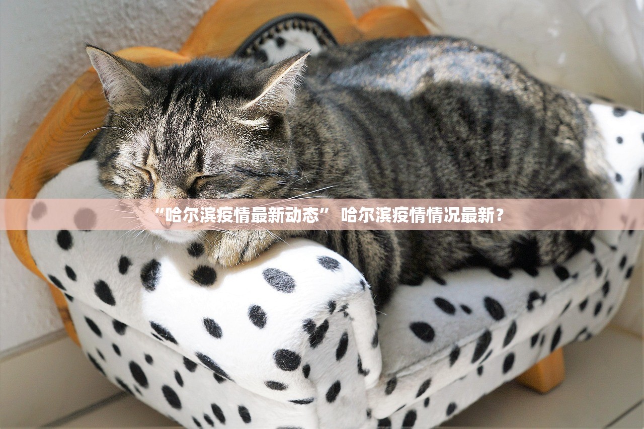 “哈尔滨疫情最新动态	” 哈尔滨疫情情况最新？