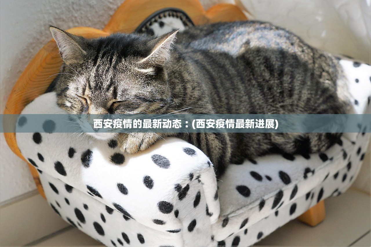 北京的最新防疫政策,北京最新防疫通告 北京的最新防疫政策,北京最新防疫通告