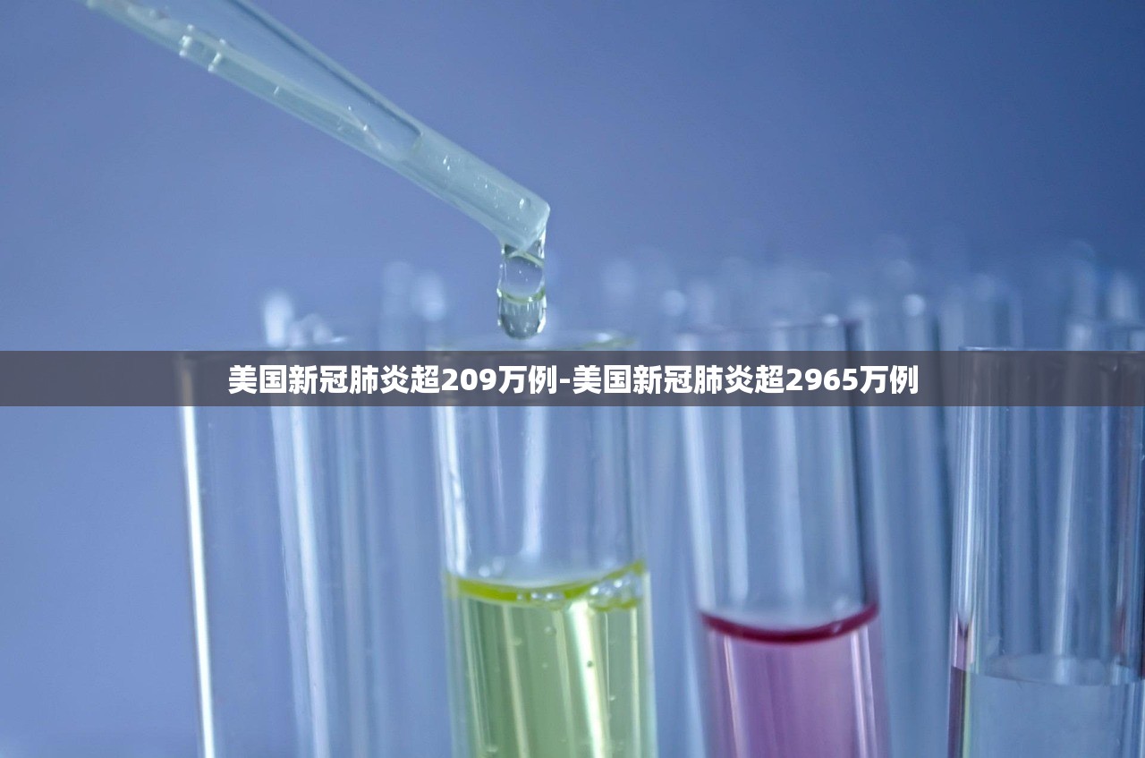 美国新冠肺炎超209万例-美国新冠肺炎超2965万例 美国新冠肺炎超209万例-美国新冠肺炎超2965万例