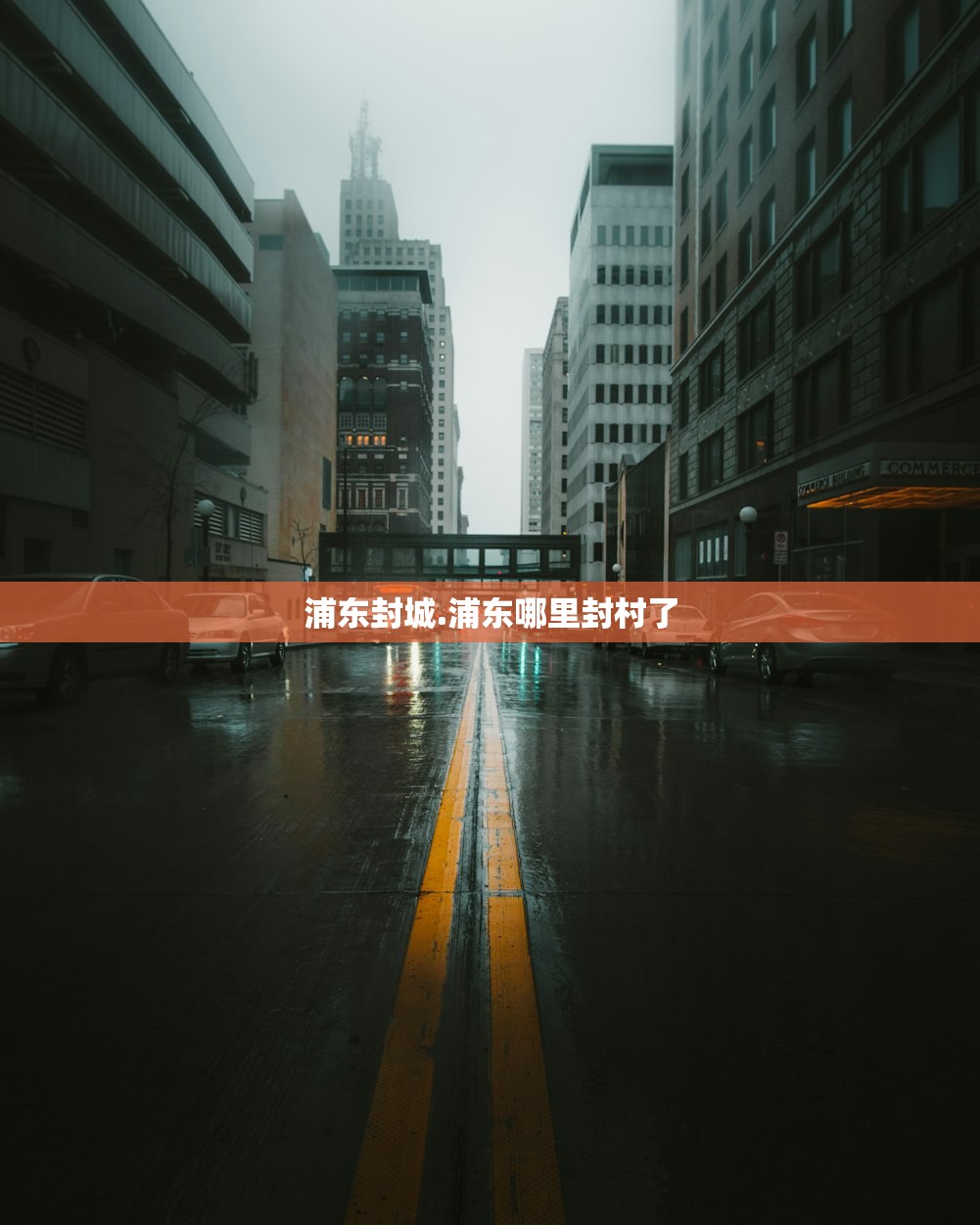 浦东封城.浦东哪里封村了 浦东封城.浦东哪里封村了