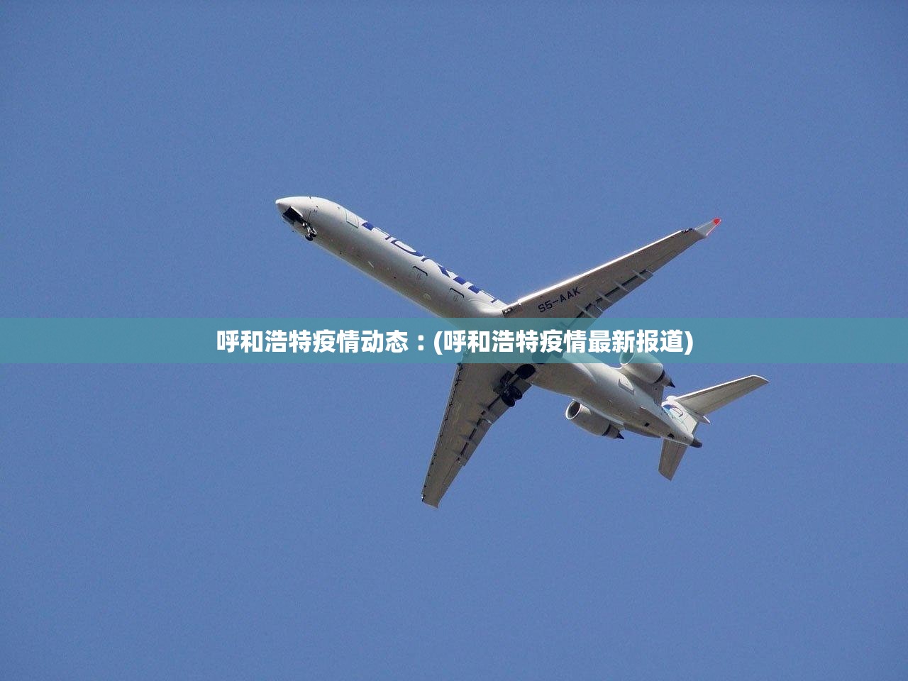 31省区市新增境外输入12例.31省区市新增20例境外输入病例 31省区市新增境外输入12例.31省区市新增20例境外输入病例