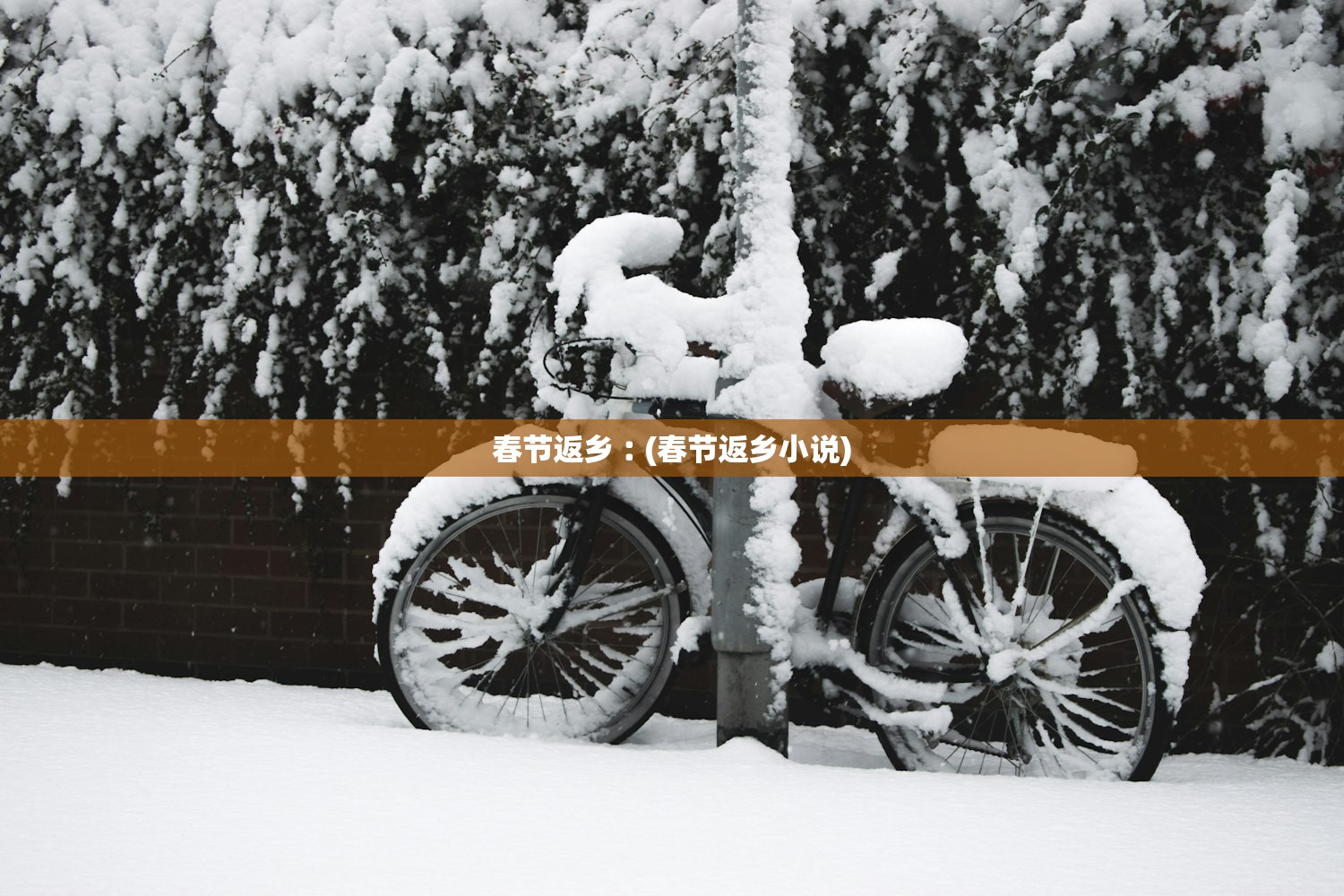 春节返乡︰(春节返乡小说)