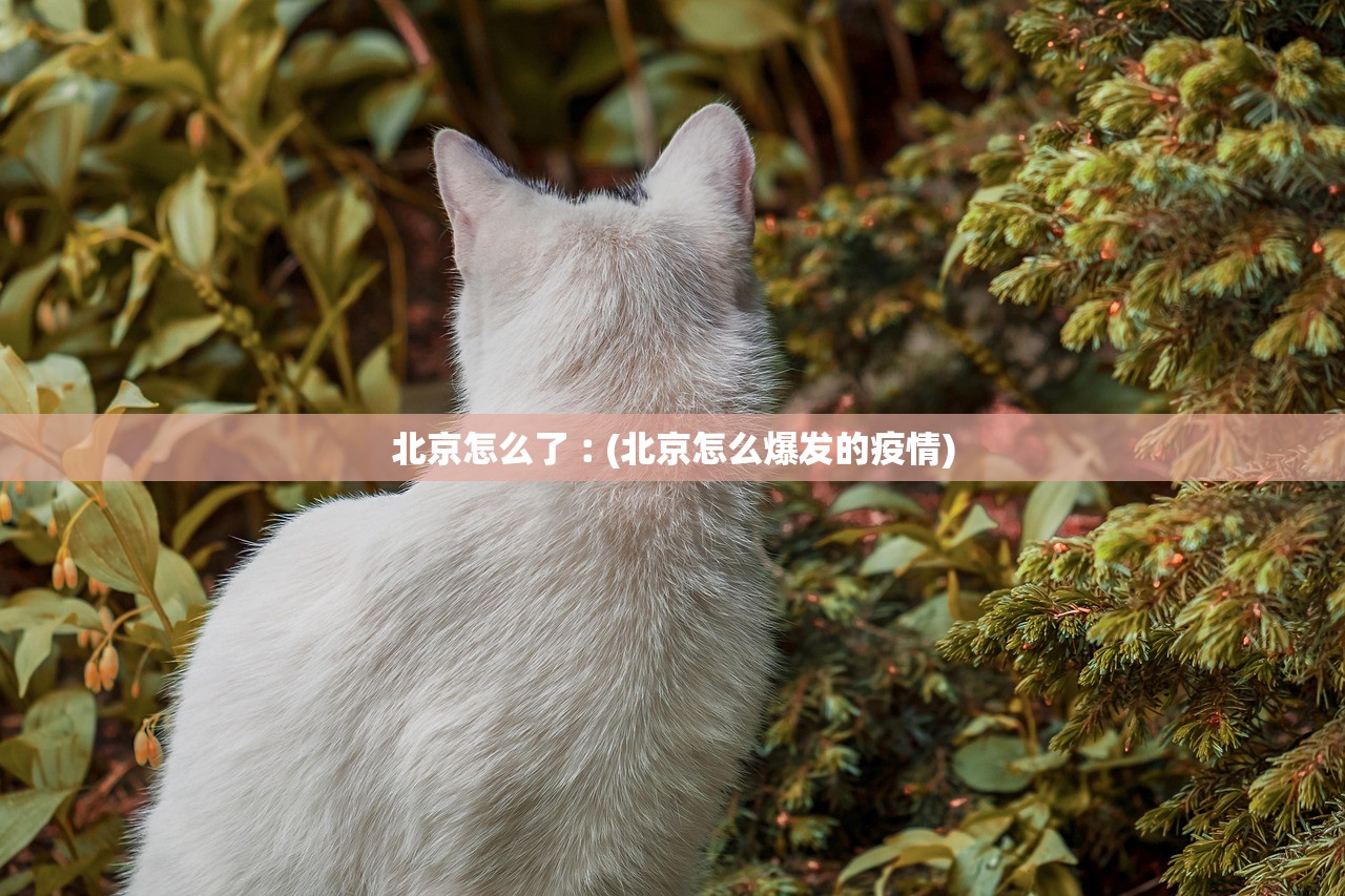 北京怎么了︰(北京怎么爆发的疫情)