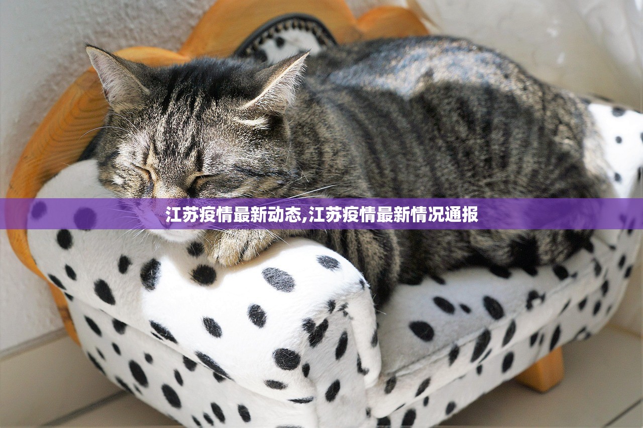 江苏疫情最新动态,江苏疫情最新情况通报