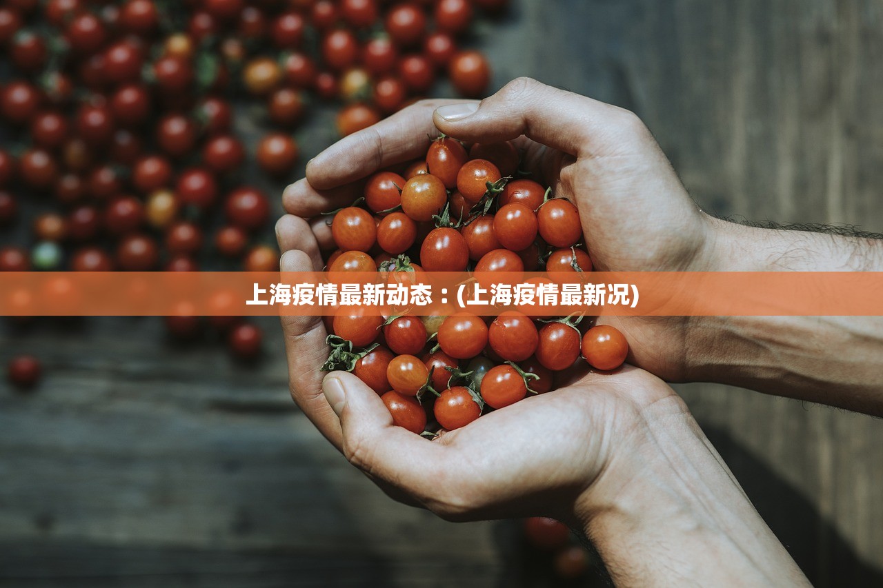 上海疫情最新动态︰(上海疫情最新况) 上海疫情最新动态︰(上海疫情最新况)