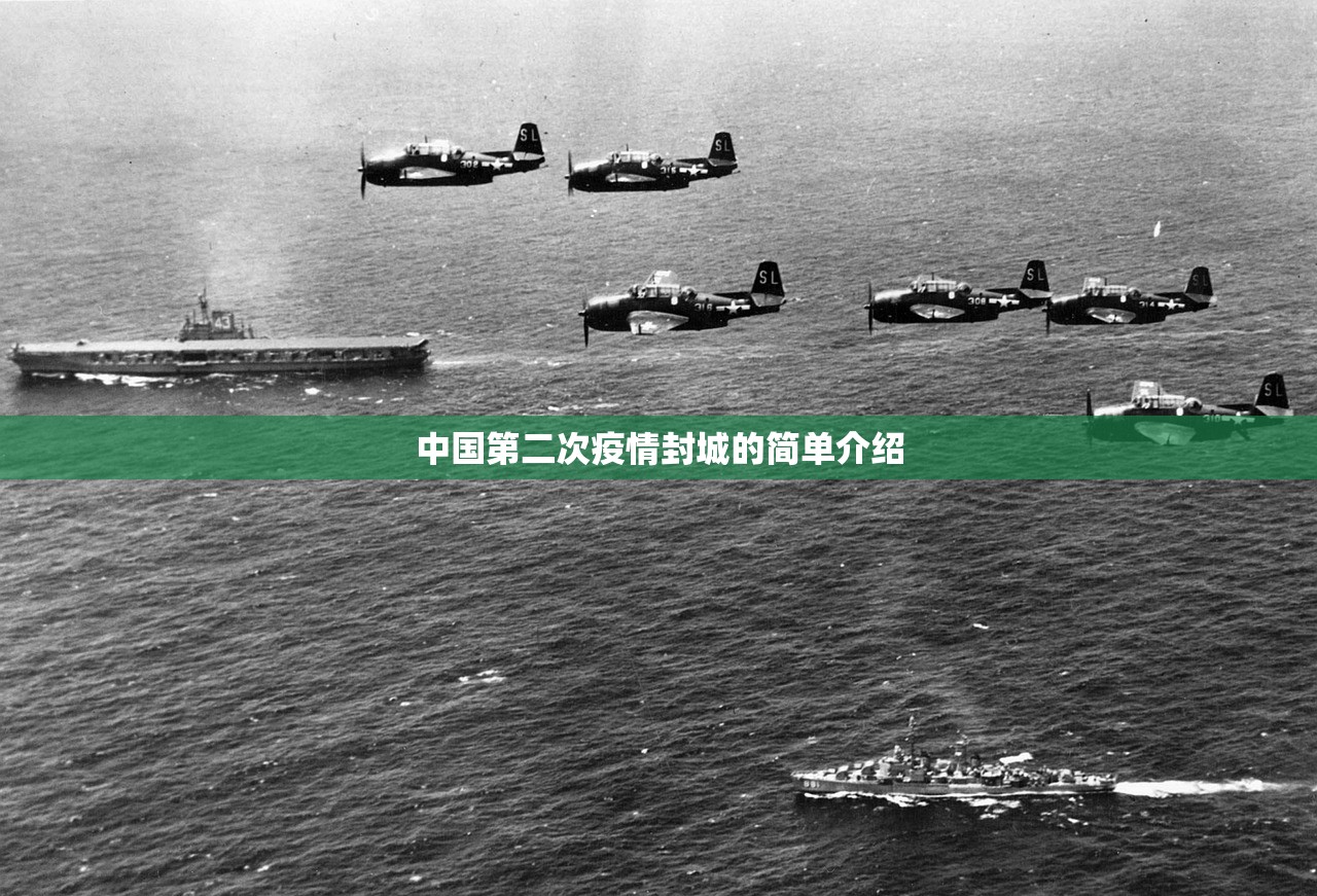 中国第二次疫情封城的简单介绍 中国第二次疫情封城的简单介绍