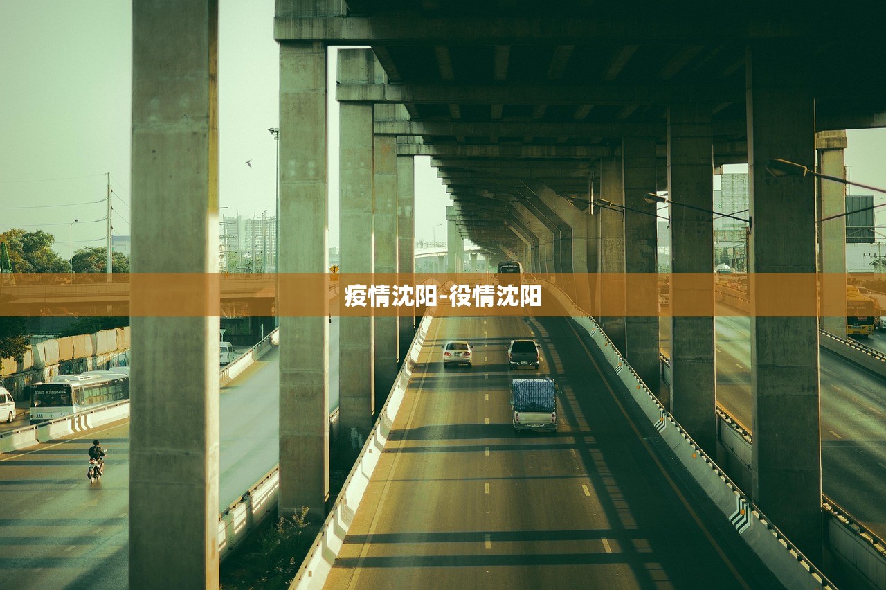疫情沈阳-役情沈阳