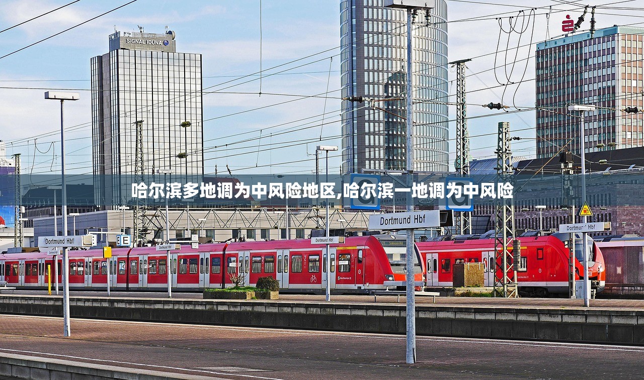 哈尔滨多地调为中风险地区,哈尔滨一地调为中风险