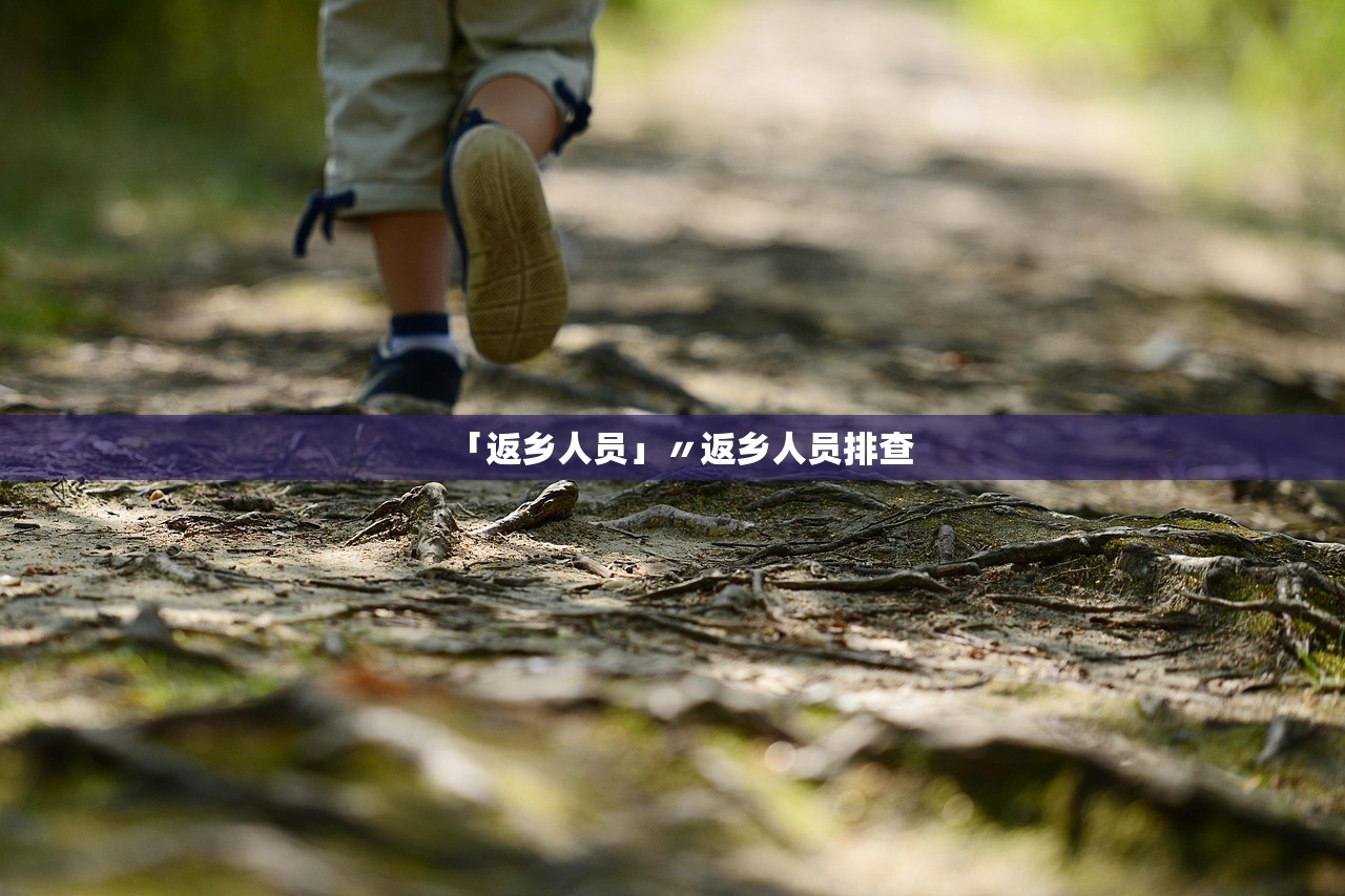 「返乡人员」〃返乡人员排查