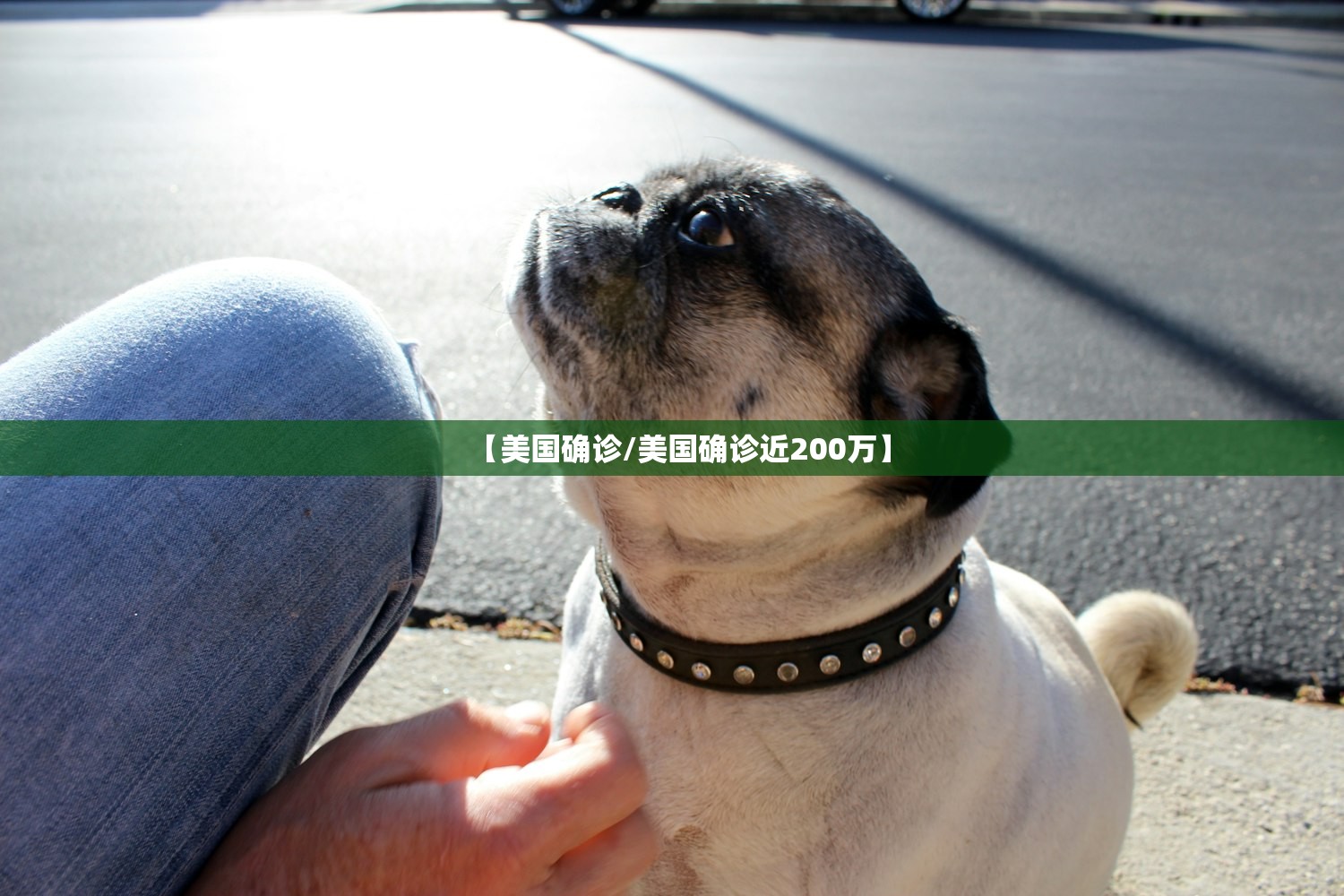 【美国确诊/美国确诊近200万】