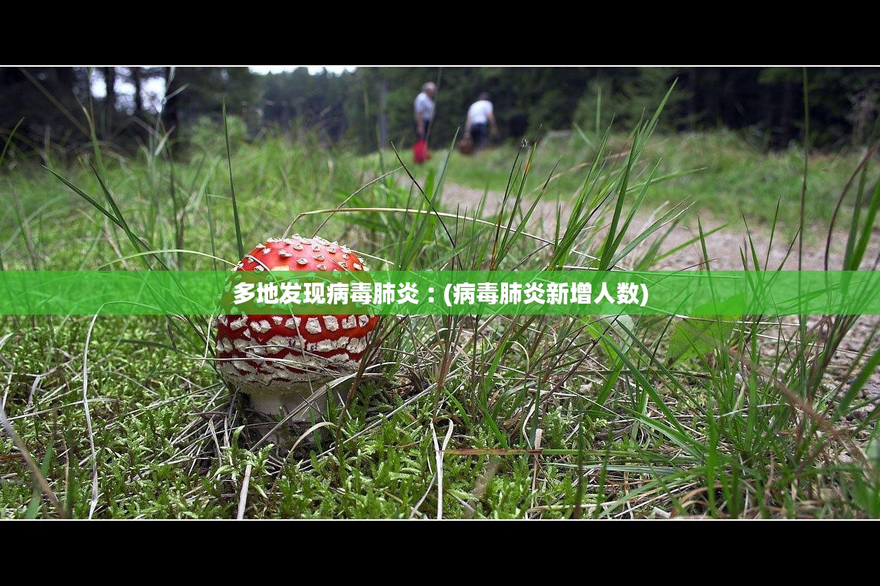 河北新增40例本土确诊病例-河北新增本土确诊 40 例 河北新增40例本土确诊病例-河北新增本土确诊 40 例