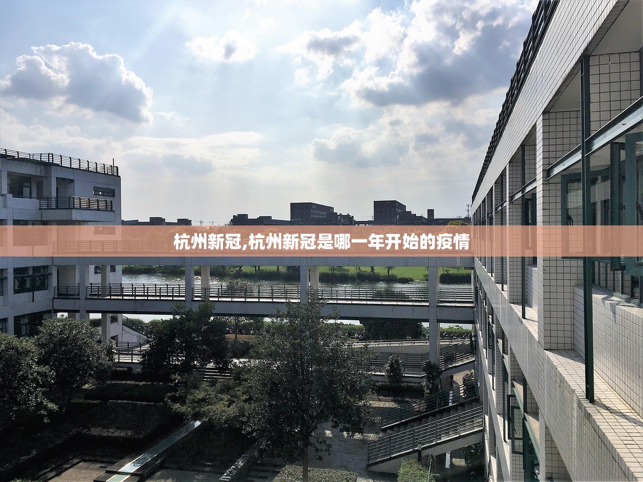 杭州新冠,杭州新冠是哪一年开始的疫情