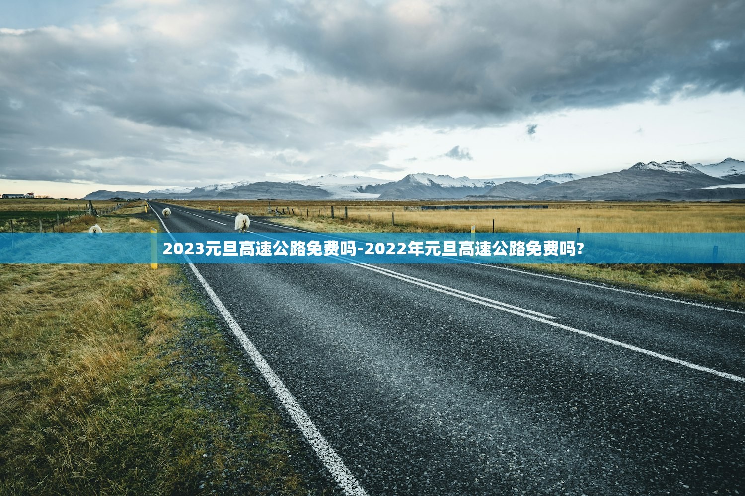 2023元旦高速公路免费吗-2022年元旦高速公路免费吗? 2023元旦高速公路免费吗-2022年元旦高速公路免费吗?