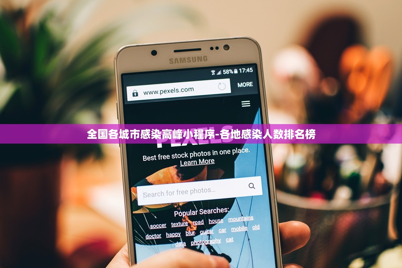 全国各城市感染高峰小程序-各地感染人数排名榜