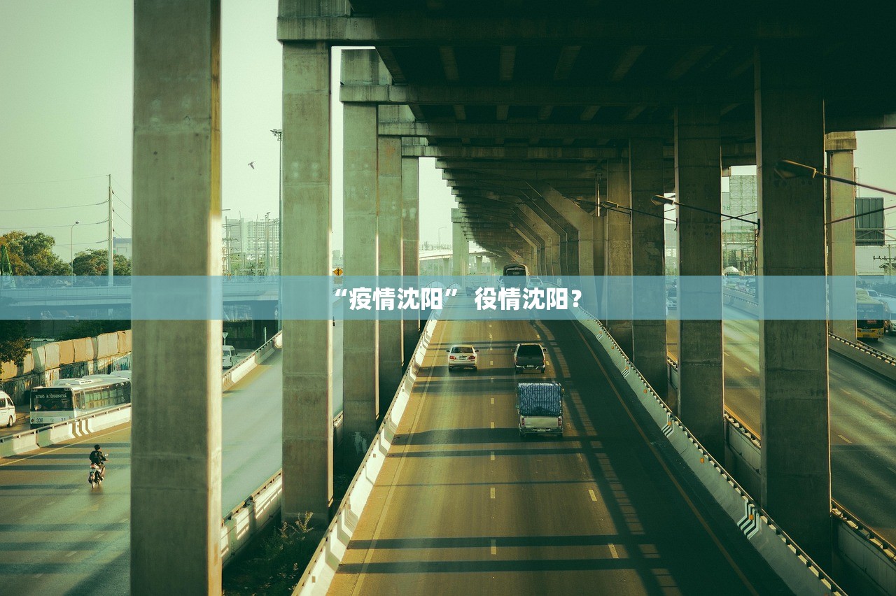 “疫情沈阳	” 役情沈阳？