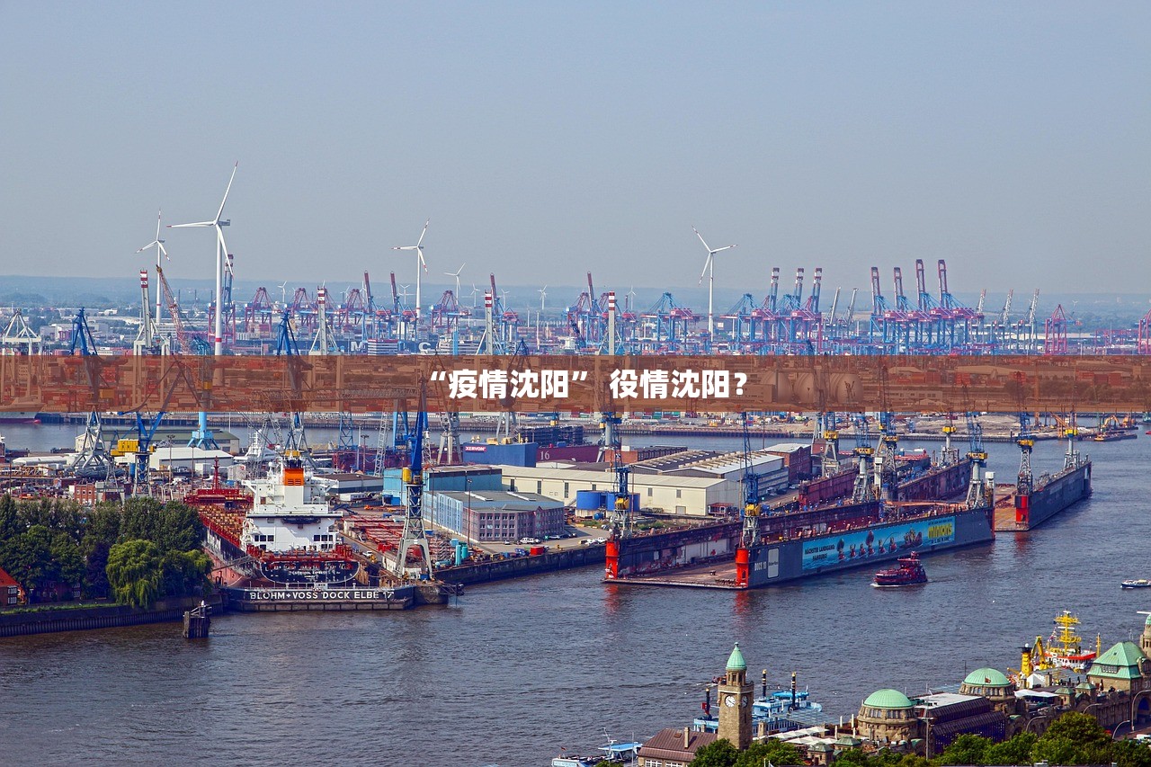 “疫情沈阳	” 役情沈阳？