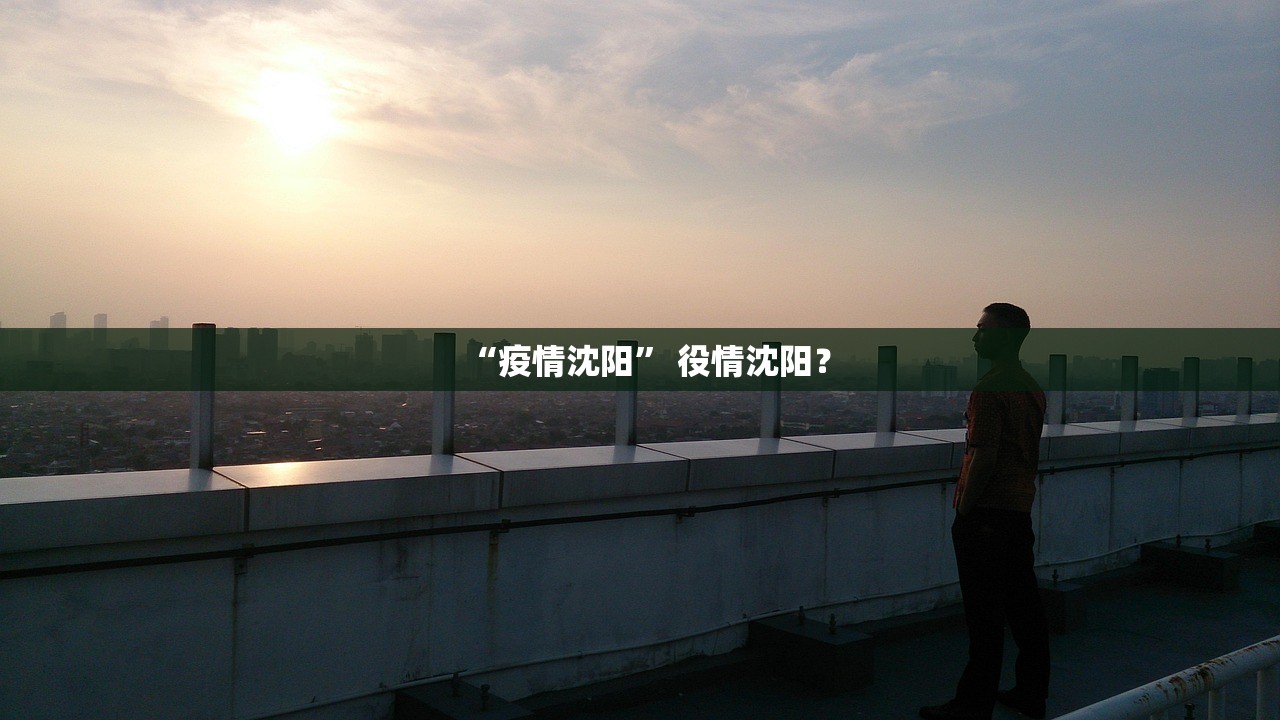 “疫情沈阳” 役情沈阳？