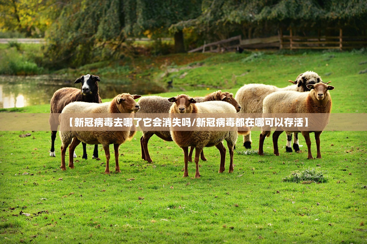【新冠病毒去哪了它会消失吗/新冠病毒都在哪可以存活】 【新冠病毒去哪了它会消失吗/新冠病毒都在哪可以存活】