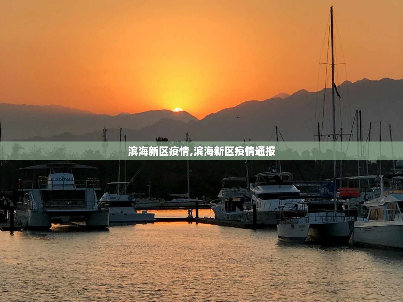 滨海新区疫情,滨海新区疫情通报 滨海新区疫情,滨海新区疫情通报