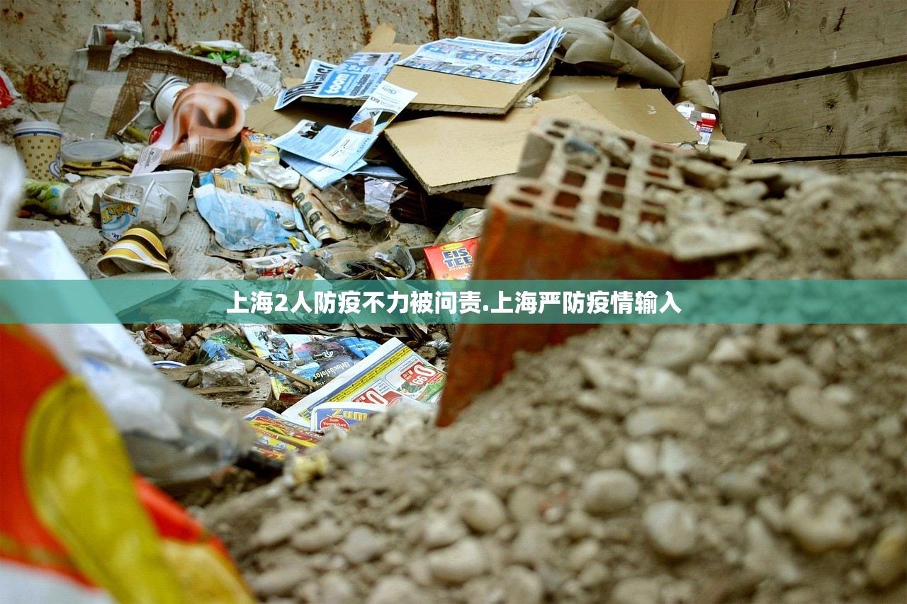 上海2人防疫不力被问责.上海严防疫情输入 上海2人防疫不力被问责.上海严防疫情输入