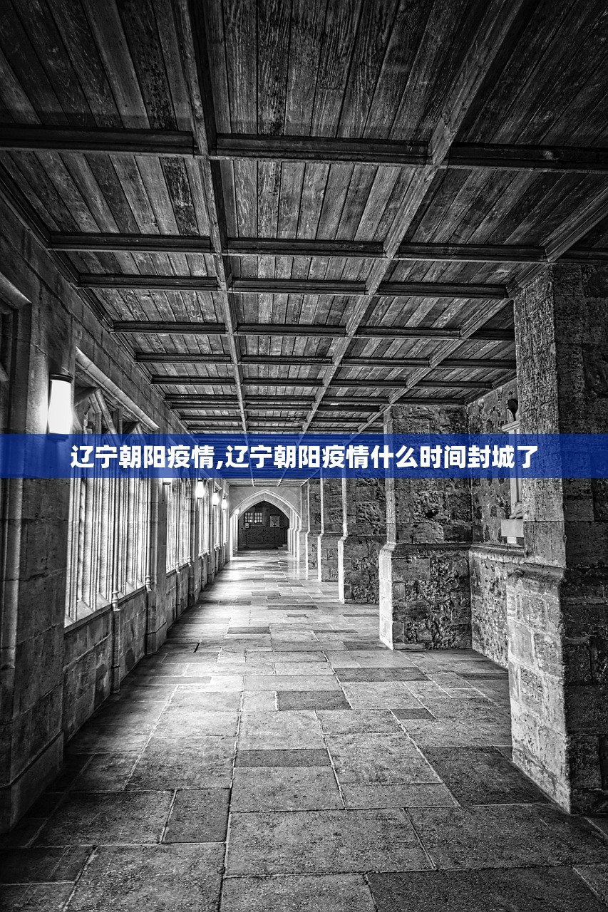 辽宁朝阳疫情,辽宁朝阳疫情什么时间封城了 辽宁朝阳疫情,辽宁朝阳疫情什么时间封城了