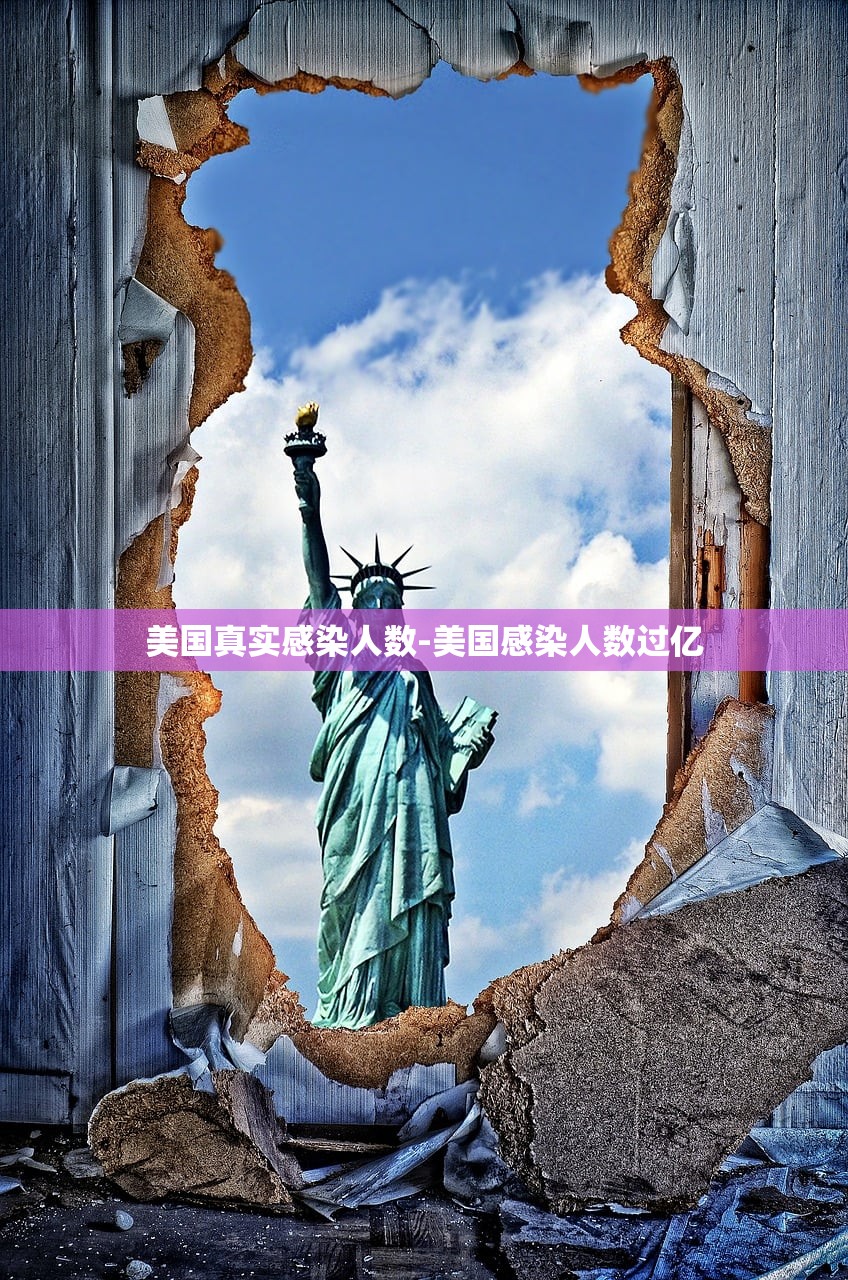 美国真实感染人数-美国感染人数过亿